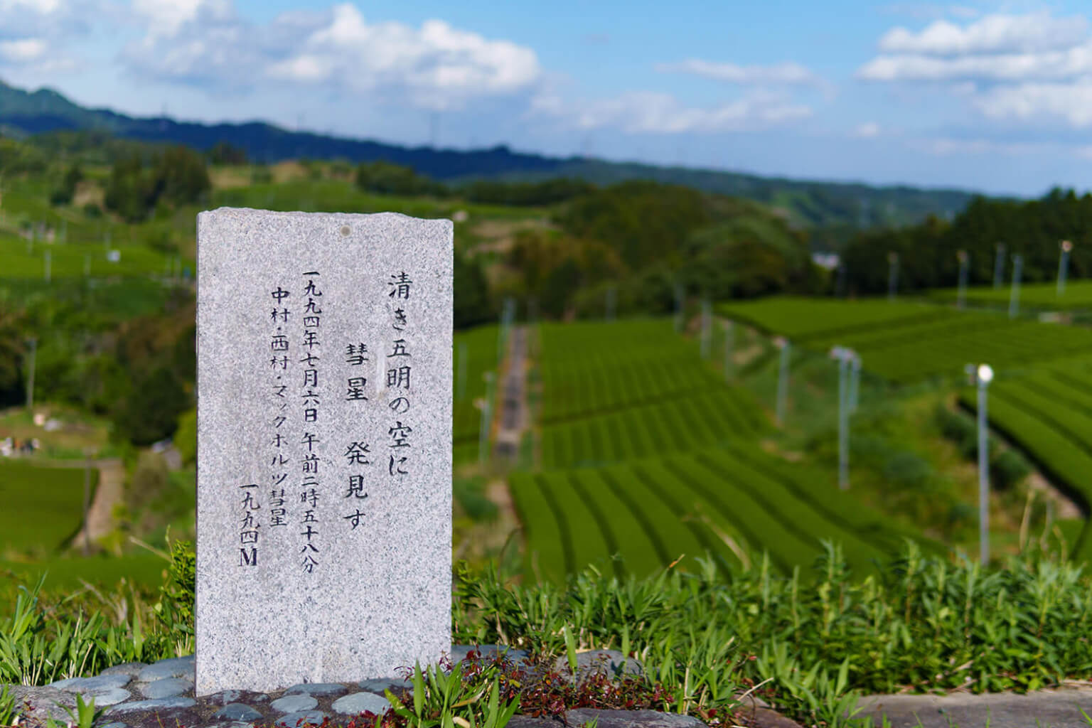 五明茶業組合とは？